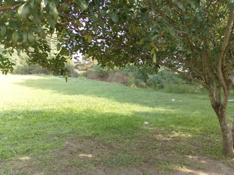 Vendo Terreno San Martin Y Gral Velazco