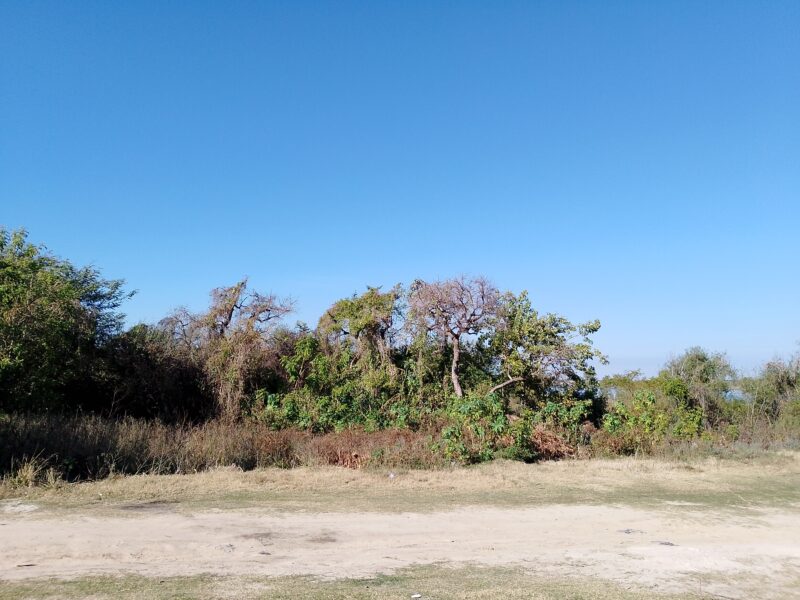 Vendo Lotes sobre Rio Corrientes
