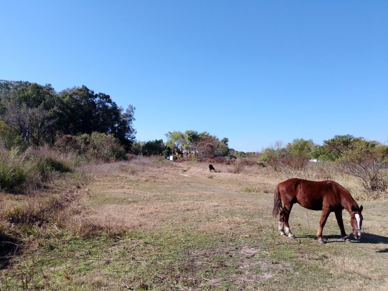Vendo Lotes sobre Rio Corrientes
