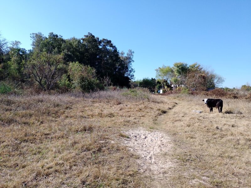 Vendo Lotes sobre Rio Corrientes