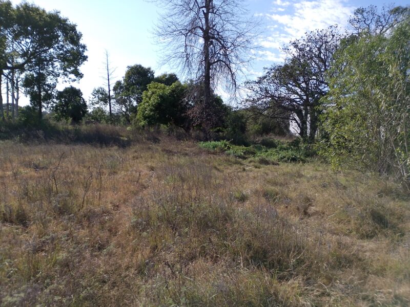 Vendo Terreno Curva Norte