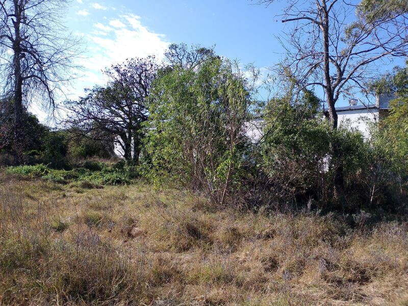 Vendo Terreno Curva Norte