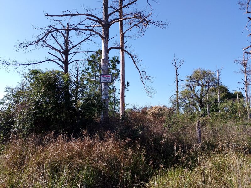 Vendo Terreno Curva Norte