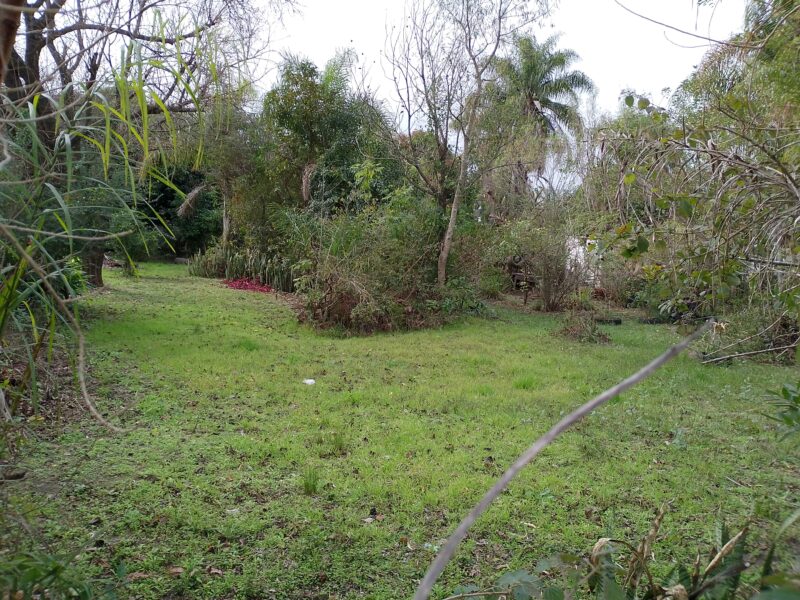 Vendo Terreno Roque Saénz Peña Entre Mancini y Constitución