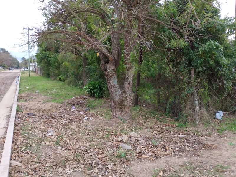 Vendo Terreno Roque Saénz Peña Entre Mancini y Constitución