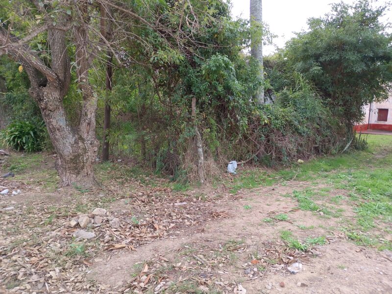 Vendo Terreno Roque Saénz Peña Entre Mancini y Constitución