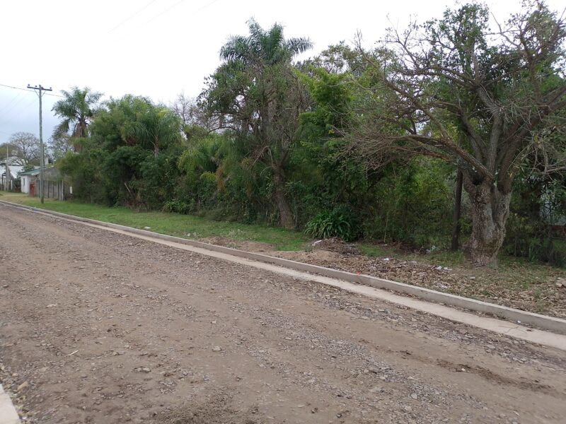 Vendo Terreno Roque Saénz Peña Entre Mancini y Constitución