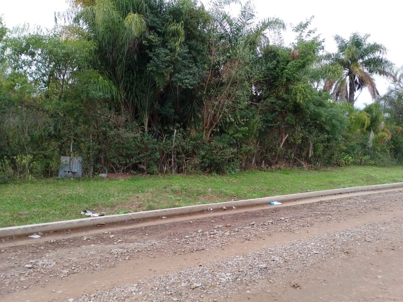 Vendo Terreno Roque Saénz Peña Entre Mancini y Constitución