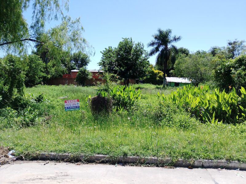 Vendo Lotes Pleno Centro