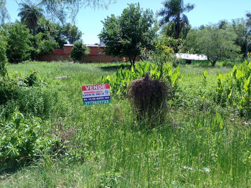 Vendo Lotes Pleno Centro