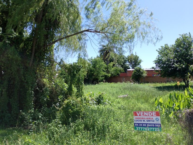 Vendo Lotes Pleno Centro