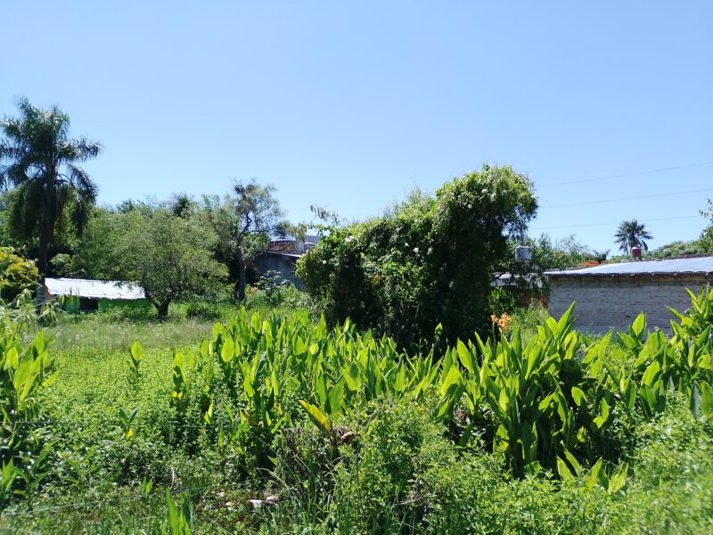 Vendo Lotes Pleno Centro