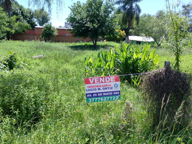 Vendo Lotes Pleno Centro