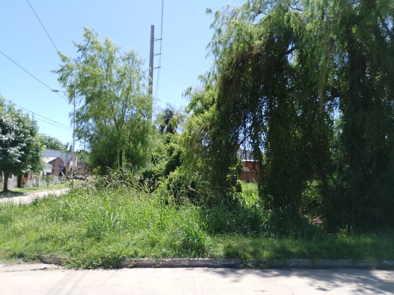 Vendo Lotes Pleno Centro