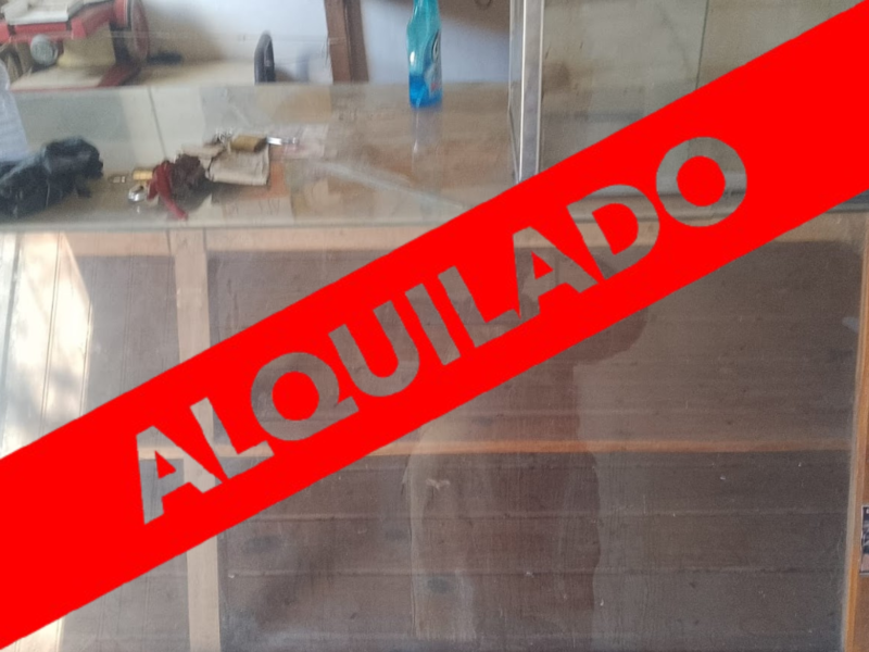 ALQUILO Departamento Mancini 1394
