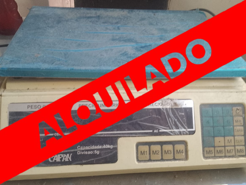 ALQUILO Departamento Mancini 1394