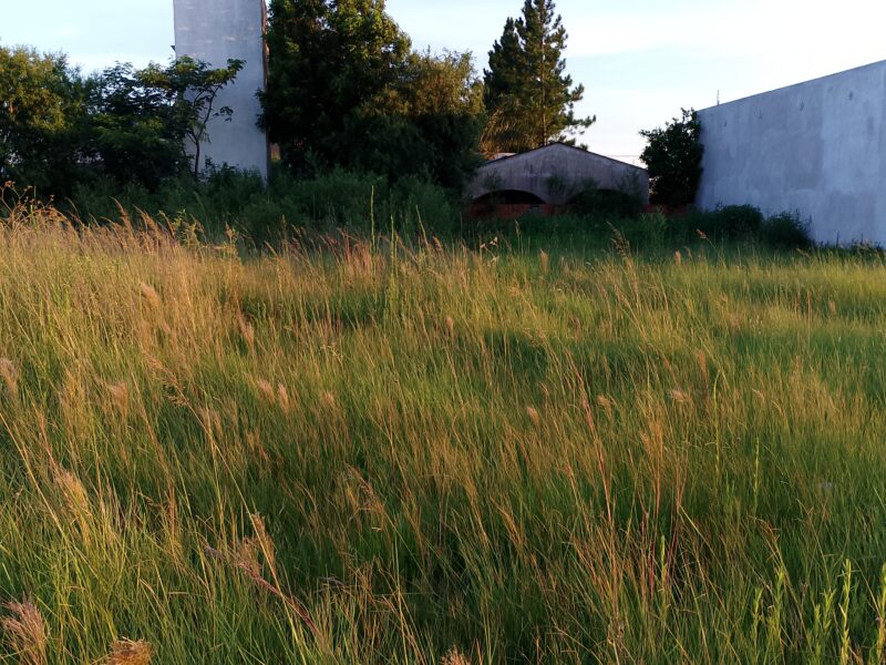 VENDO Terreno Paseo de los Pajaros