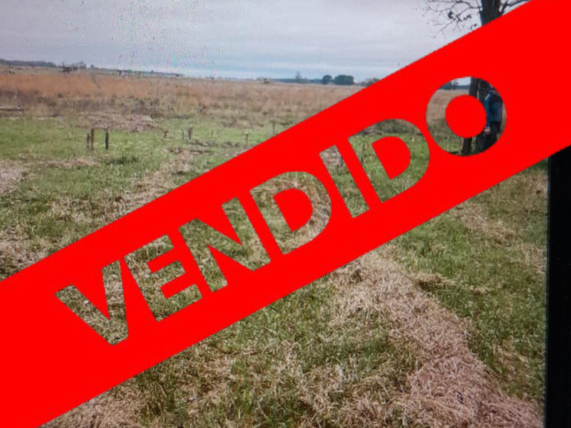 VENDO PERMUTO Campo | Malvinas Corrientes