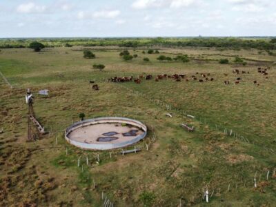 VENDO Campo 1350 Ha - Goya Corrientes