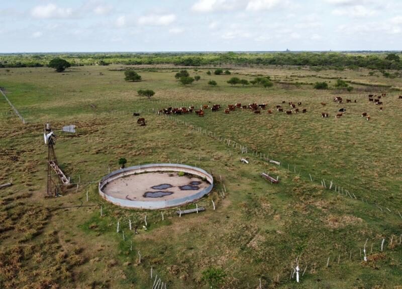 VENDO Campo 1350 Ha - Goya Corrientes
