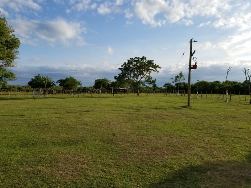 VENDO Campo 1350 Ha - Goya Corrientes