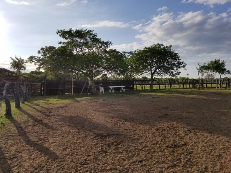 VENDO Campo 1350 Ha - Goya Corrientes